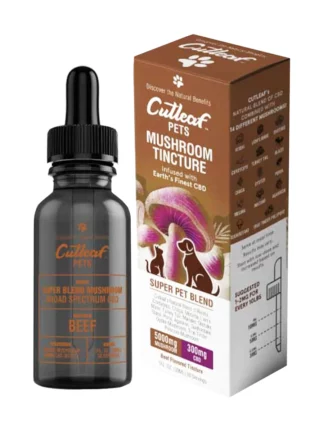 Beef Cutleaf Pet Mushroom CBD Tinctures