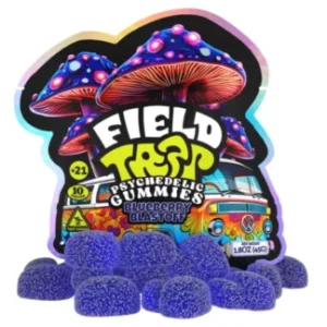 Blueberry Blastoff Field Trip Psychedelic Mushroom Gummies