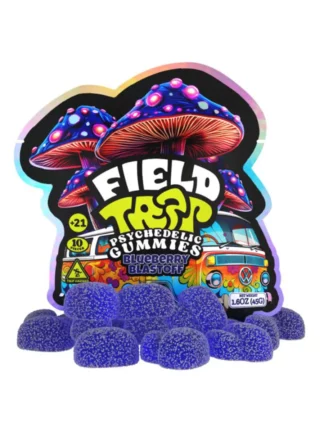 Blueberry Blastoff Field Trip Psychedelic Mushroom Gummies