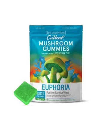 Sunrise Watermelon Gelato Cutleaf Euphoria Mushroom Gummies 1000mg