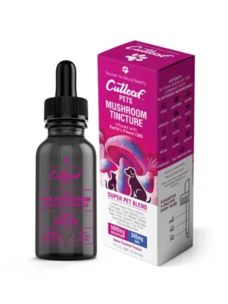 Bacon Cutleaf Pet Mushroom CBD Tinctures