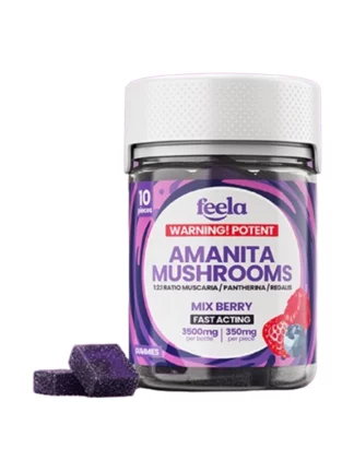 Mix Berry Feela 1:2:1 Ratio Amanita Mushroom Gummies 3500mg