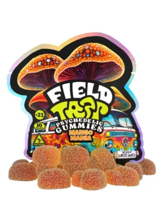 Mango Mania Field Trip Psychedelic Mushroom Gummies