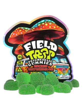 Wicked Watermelon Field Trip Psychedelic Mushroom Gummies