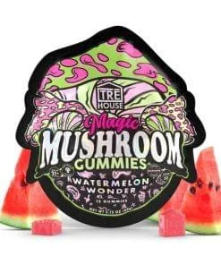 2 Magic Mushroom Gummies